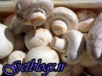 نخورید! ، کوهستان و ارگانیک&quot، قارچ &quot